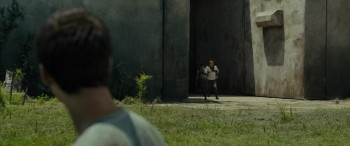 The Maze Runner (2014) download